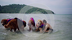 Asian woman relaxing with dog on the beach. Golden Retriever recreation and lifestyle on summer holiday