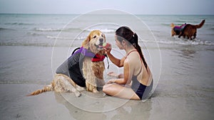 Asian woman relaxing with dog on the beach. Golden Retriever recreation and lifestyle on summer holiday