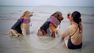 Asian woman relaxing with dog on the beach. Golden Retriever recreation and lifestyle on summer holiday