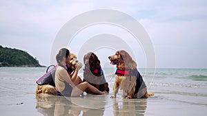 Asian woman relaxing with dog on the beach. Golden Retriever recreation and lifestyle on summer holiday