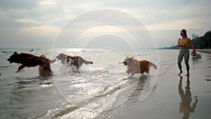 Asian woman relaxing with dog on the beach. Golden Retriever recreation and lifestyle on summer holiday