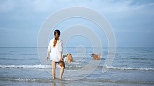 Asian woman relaxing with dog on the beach. Recreation and lifestyle on summer holiday