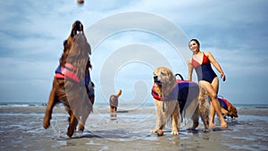 Asian woman relaxing with dog on the beach. Recreation and lifestyle on summer holiday