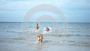 Asian woman relaxing with dog on the beach. Recreation and lifestyle on summer holiday