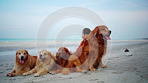 Asian woman relaxing with dog on the beach. Recreation and lifestyle on summer holiday