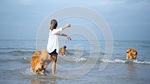 Asian woman relaxing with dog on the beach. Recreation and lifestyle on summer holiday