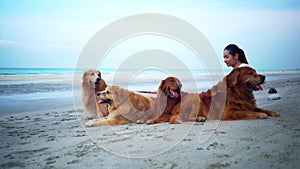 Asian woman relaxing with dog on the beach. Recreation and lifestyle on summer holiday