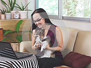 Asian woman sitting in living room working on computer notebook with her long hair Chihuahua dog on her lap.stay home, work from