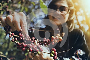 Asian woman smiling face happiness emotion near raw coffee seed on tree branch