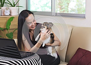 Asian woman smiling and playing with her long hair chihuahua dog ,  sitting on couch in living room with computer .relaxation