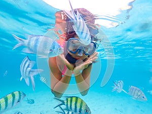 snorkeling trip at Samaesan Thailand dive underwater with fishes in the coral reef sea pool photo