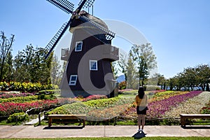 Asian woman standing in front of a windmill enjoying the flowers