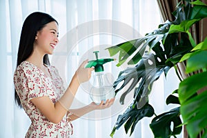 Asian woman take care and Clean tree leaves