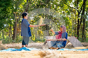 Asian woman with traditional clothes stand and winnow rice using basketry and other woman sit and hold some of rice grain beside