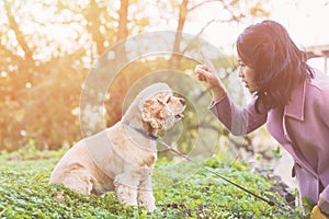 Asian woman training her dog outdoor