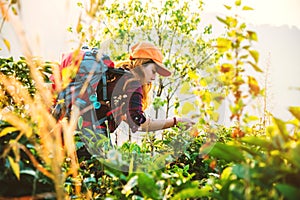 Asian woman travel  nature. Travel relax.Backpack walk on the meadow in the forest. Thailand