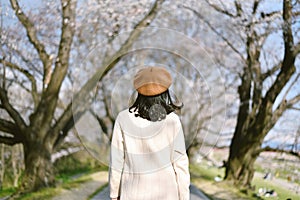 Asian woman traveler sightseeing sakura cherry blossoms in spring season.