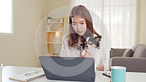 Asian woman using laptop computer work at home and play with dog pet in home office. Work from home life, domestic lifestyle