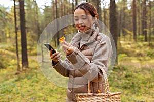 asian woman using smartphone to identify mushroom