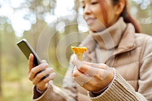 asian woman using smartphone to identify mushroom