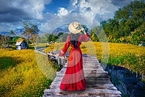 Asian woman visit Wooden hut in a yellow flower field and valley in Lopburi, Thailand