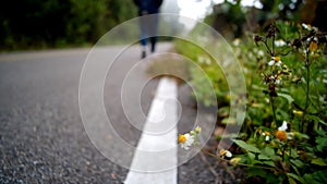 Asian woman is walking with freedom in natural wild jungle and foggy rain forest on countryside of mountain. Soft and