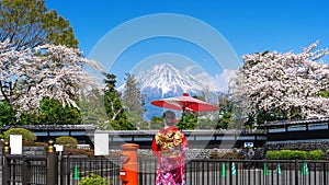 Asian woman wearing japanese traditional kimono at Fuji mountain and cherry blossom in spring, Fujinomiya in Japan photo