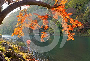 An Asian woman wearing Japanese traditional kimono with red umbrella standing with red maple leaves or fall foliage at Arashiyama