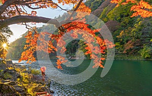 An Asian woman wearing Japanese traditional kimono with red umbrella standing with red maple leaves or fall foliage at Arashiyama