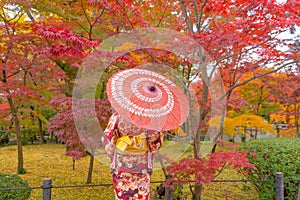 An Asian woman wearing Japanese traditional kimono with red umbrella standing with Red maple leaves or fall foliage in Autumn