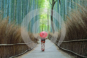 An Asian woman wearing Japanese traditional kimono standing in Bamboo Forest during travel holidays vacation trip outdoors in