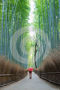 An Asian woman wearing Japanese traditional kimono standing in Bamboo Forest during travel holidays vacation trip outdoors in
