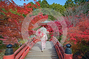 An Asian woman wearing Japanese traditional kimono standing in Daigoji Pagoda Temple with red maple leaves or fall foliage in