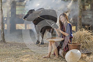 Asian woman wearing traditional thai culture,in field,vintage style listening radio on buffalo and farm background