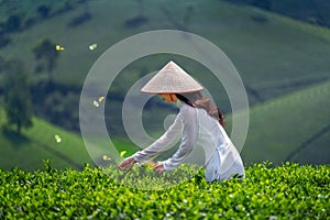 Asian woman wearing Vietnam culture traditional in green tea field, Vietnam