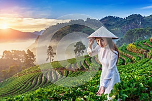 Asian woman wearing Vietnam culture traditional in strawberry garden at sunrise.