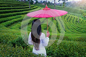 Asian woman wearing Vietnam culture traditions in Choui Fong Tea Farm Chiangrai, Thailand