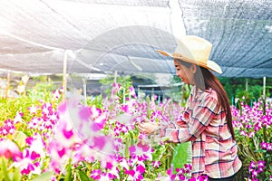 An Asian woman who owns an orchid garden.