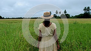 Asian women with hat in beautiful green paddy field in thailand, women walking at rice field