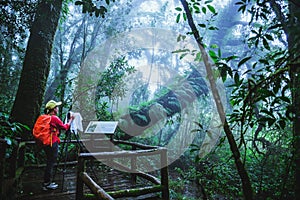 Asian women travel nature. Take a picture Nature Study in the Jungle at Chiangmai in Thailand