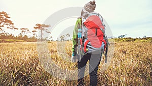 Asian women travel  nature. Travel relax.Backpack walk on the meadow in the forest. Thailand