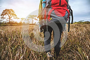 Asian women travel  nature. Travel relax.Backpack walk on the meadow in the forest. Thailand