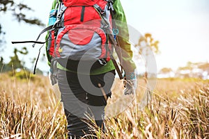 Asian women travel  nature. Travel relax.Backpack walk on the meadow in the forest. Thailand