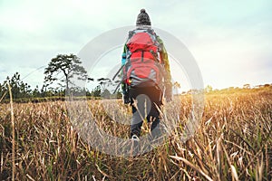 Asian women travel  nature. Travel relax.Backpack walk on the meadow in the forest. Thailand