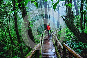 Asian women travel relax Nature Study in the Jungle at Chiangmai in Thailand