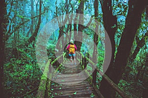 Asian women travel relax Nature Study in the Jungle at Chiangmai in Thailand