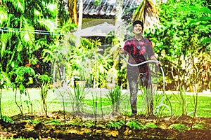 Asian women use hose garden watering lemongrass and allium tuberosum the vegetable garden