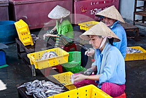 Asian women working in a fishery