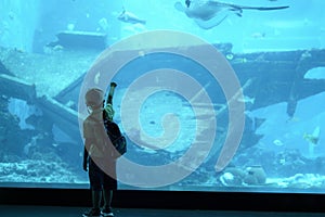 Asian young child standing and pointing fish in a tank with his finger at the aquarium. Kids looking excited and fun to see fish