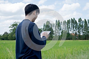 Asian young farmer using tablet at the green rice field. Use technology in the farm concept.Rice field and sky background with sun